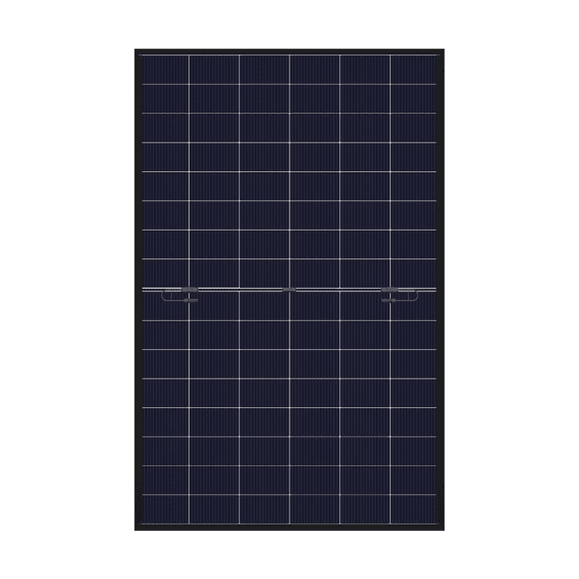 DMEGC 465Wp | Glas-Glas | negro-blanco 2