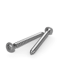 Renusol Pan kop screw A2 6.0x120 / TX30