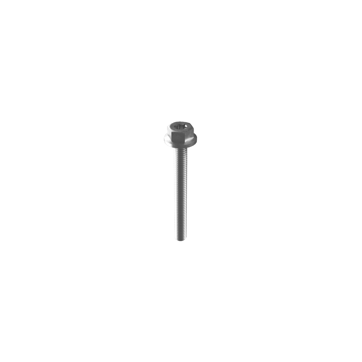 Esdec screw M6 x 55mm